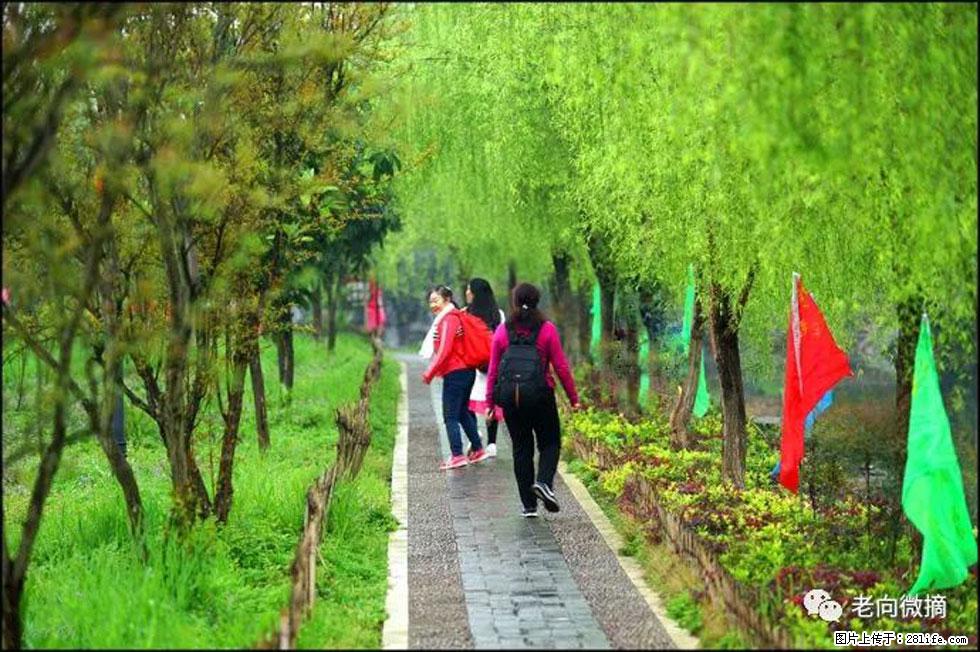 【春天，广西桂林灌阳县向您发出邀请！】江口老街又逢春 - 游山玩水 - 广元生活社区 - 广元28生活网 guangyuan.28life.com