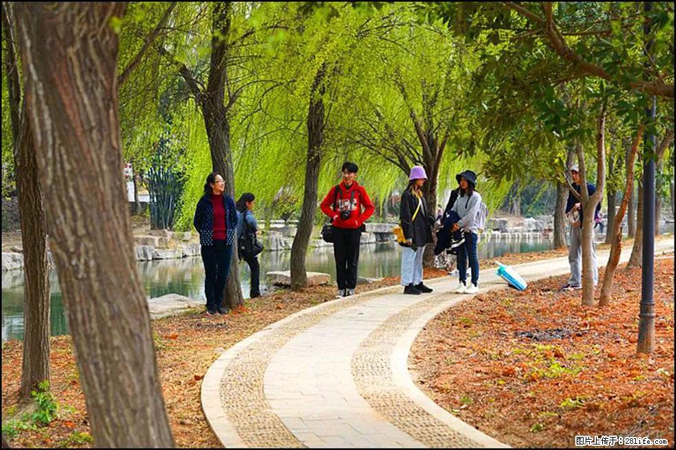 【春天，广西桂林灌阳县向您发出邀请！】江口老街又逢春 - 游山玩水 - 广元生活社区 - 广元28生活网 guangyuan.28life.com