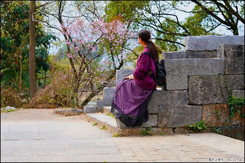 【春天，广西桂林灌阳县向您发出邀请！】江口老街又逢春 - 游山玩水 - 广元生活社区 - 广元28生活网 guangyuan.28life.com