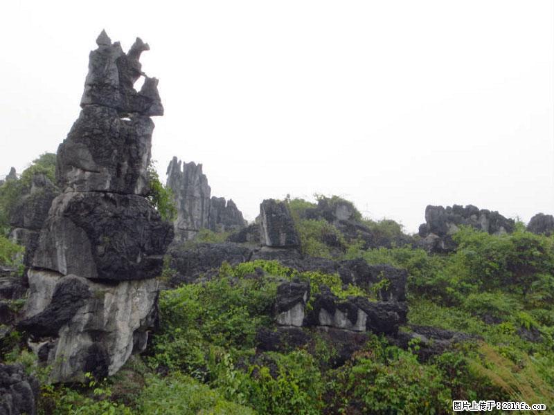 桂林旅游名城景点:灌阳文市石林 - 游山玩水 - 广元生活社区 - 广元28生活网 guangyuan.28life.com