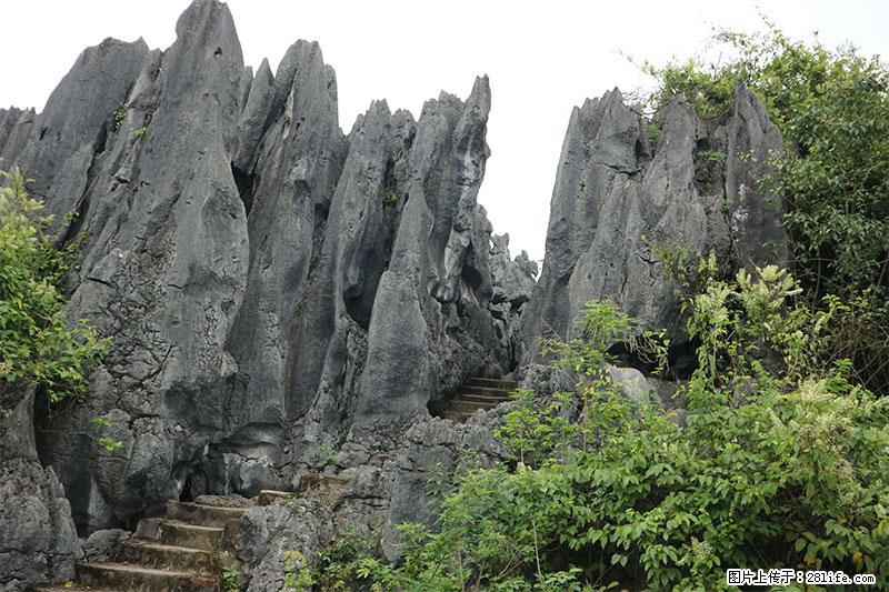 桂林旅游名城景点:灌阳文市石林 - 游山玩水 - 广元生活社区 - 广元28生活网 guangyuan.28life.com