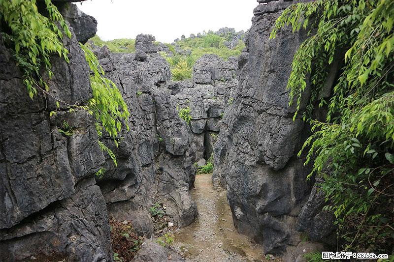 桂林旅游名城景点:灌阳文市石林 - 游山玩水 - 广元生活社区 - 广元28生活网 guangyuan.28life.com