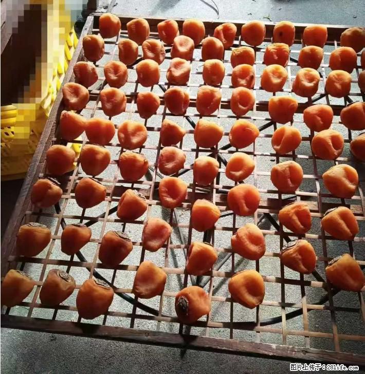 广西桂林平乐桥亭【柿饼之乡】2025年纯手工制作、无任何添加剂的第一批柿饼准备上市了,欢迎联系订购! - 土特产 - 饮食特产 - 广元分类信息 - 广元28生活网 guangyuan.28life.com