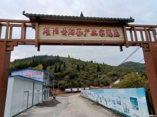 【灌阳县油茶产业示范区】一个有着充实的精神生活的人,对待身外之物自会有一种淡泊的态度 - 广元28生活网 guangyuan.28life.com