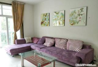 恒星城精装大三居出租 家具家电齐全紧邻利州广场 - 广元28生活网 guangyuan.28life.com