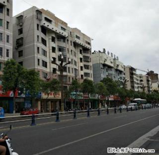 老城中心医院附近温馨清爽两室两厅带空调家具家电出租 - 广元28生活网 guangyuan.28life.com