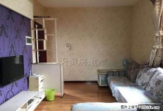 科兴园精装电梯抢手一居室家具家电齐全先到先得 - 广元28生活网 guangyuan.28life.com