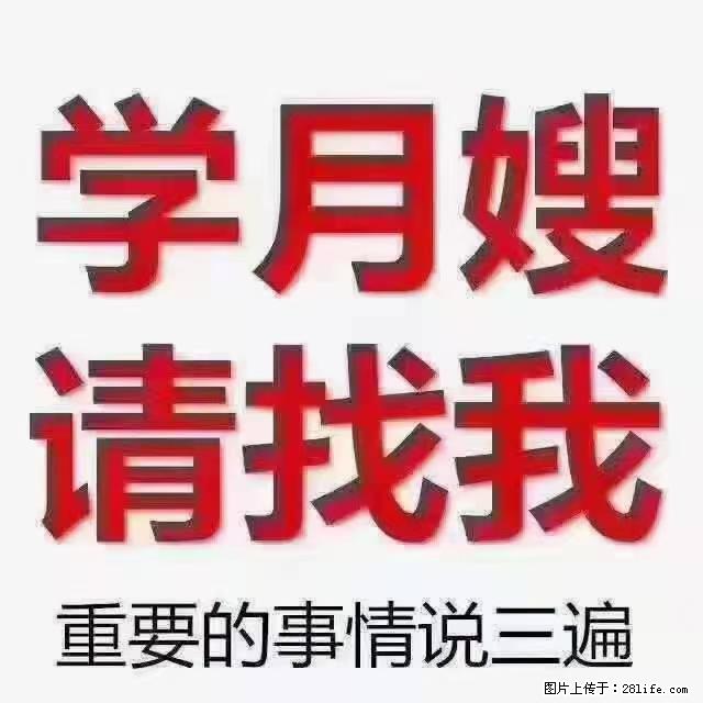 【招聘】月嫂,上海徐汇区 - 其他招聘信息 - 招聘求职 - 广元分类信息 - 广元28生活网 guangyuan.28life.com