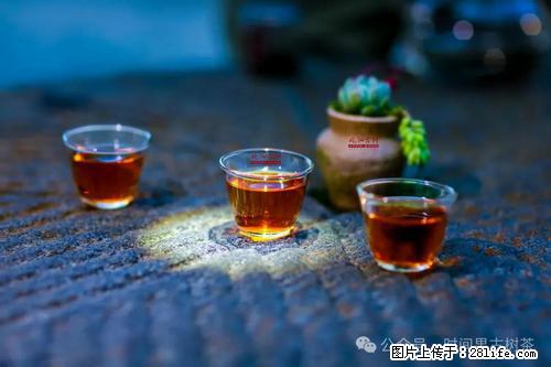 时间果百年古树2025年春红茶 - 购物交流 - 广元生活社区 - 广元28生活网 guangyuan.28life.com