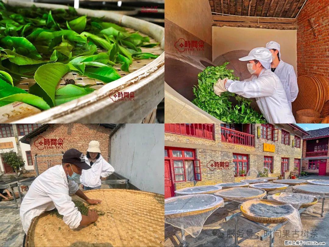 时间果百年古树龙珠普洱生茶 - 购物交流 - 广元生活社区 - 广元28生活网 guangyuan.28life.com