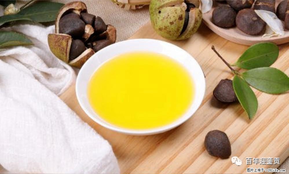 揭秘茶油的5大核心营养成分！被称为人体健康的“守护盾”！ - 广元生活资讯 - 广元28生活网 guangyuan.28life.com