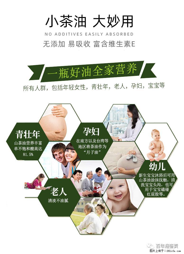 世界没有真相,只有认知,最好的食用油是中国的山茶油! - 广元生活资讯 - 广元28生活网 guangyuan.28life.com