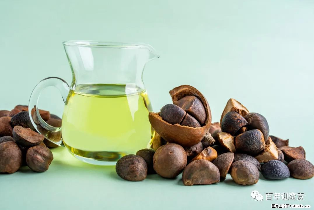 世界没有真相,只有认知,最好的食用油是中国的山茶油! - 广元生活资讯 - 广元28生活网 guangyuan.28life.com