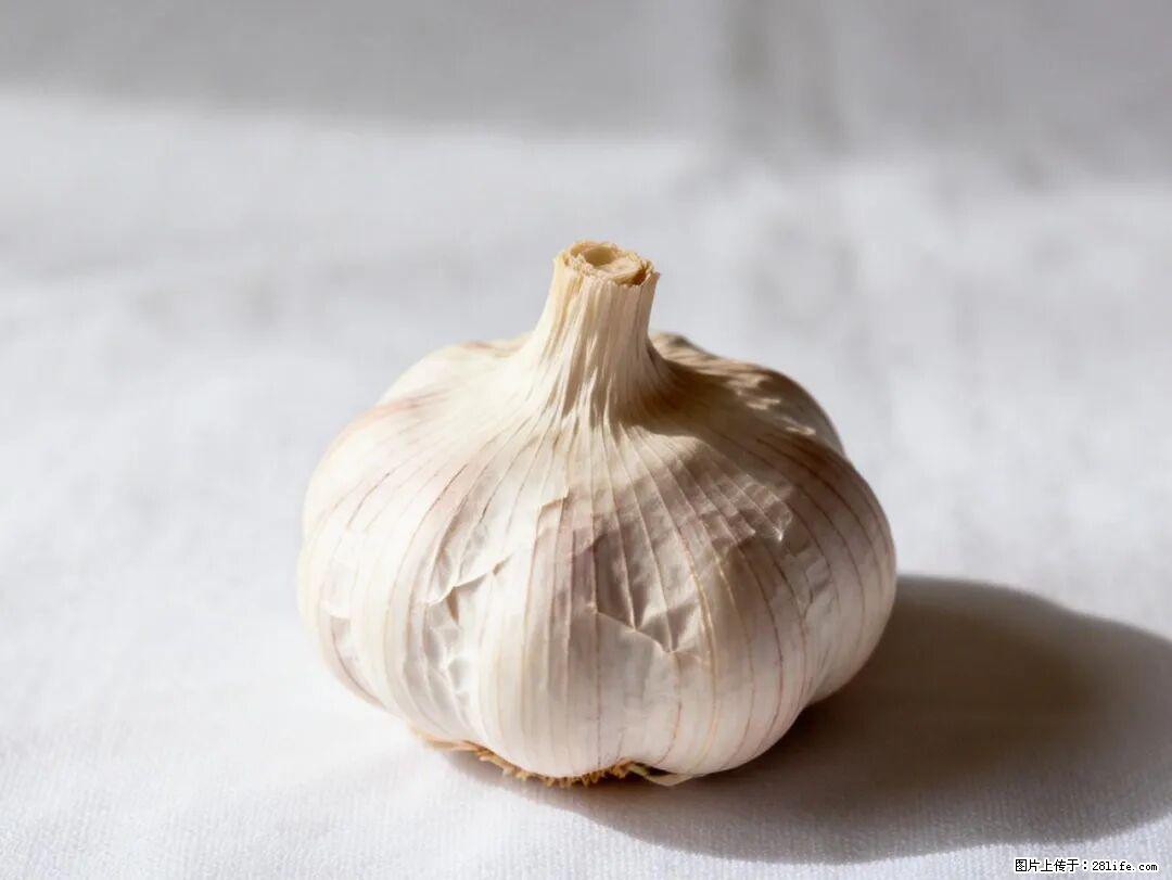 关于大蒜，除了“天然抗生素”，这4个谣言更该警惕! - 广元生活资讯 - 广元28生活网 guangyuan.28life.com