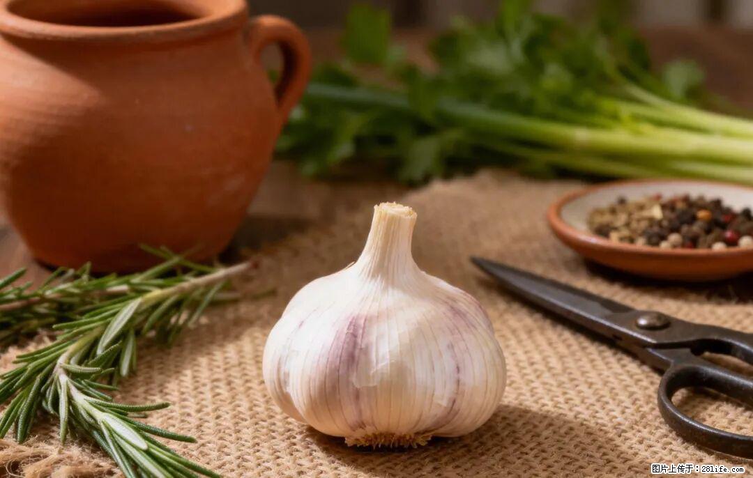 关于大蒜，除了“天然抗生素”，这4个谣言更该警惕! - 广元生活资讯 - 广元28生活网 guangyuan.28life.com