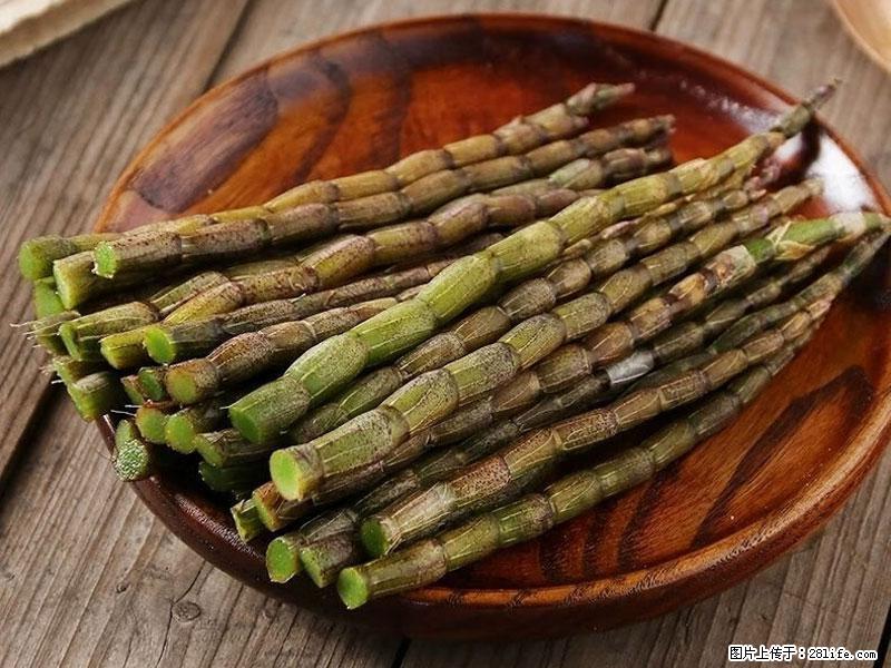 铁皮石斛的作用与功能主治 - 广元生活资讯 - 广元28生活网 guangyuan.28life.com